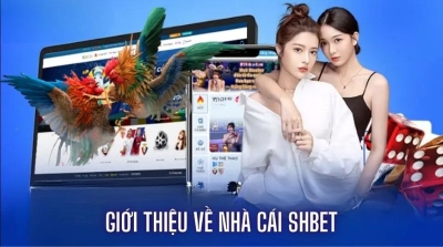 Shbet - Nhà cái cá cược uy tín, minh bạch top đầu hiện nay